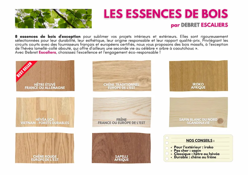 Guide des essences de bois Debret Escaliers — hêtre, frêne, chêne rouge, iroko, hévéa, sapelli