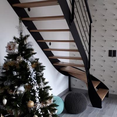 Escalier à limons acier